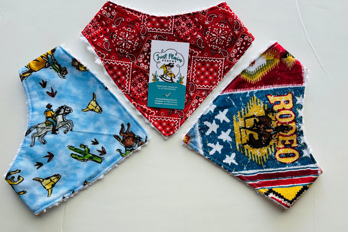 Bandana Bib SET of 3